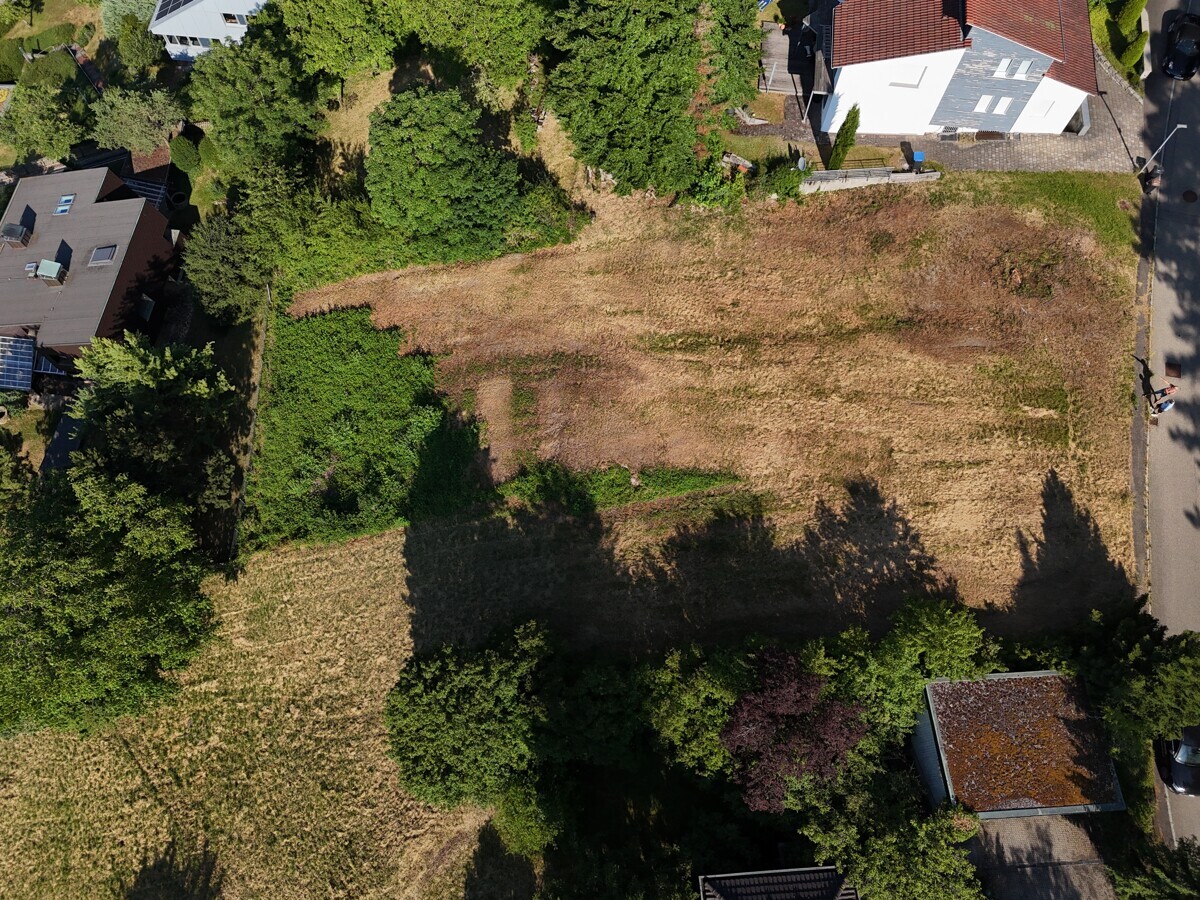 13751_DJI_20250702085756_0025_D