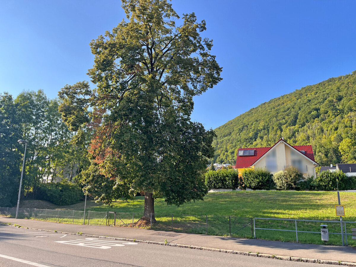 14845_image00006_bearb