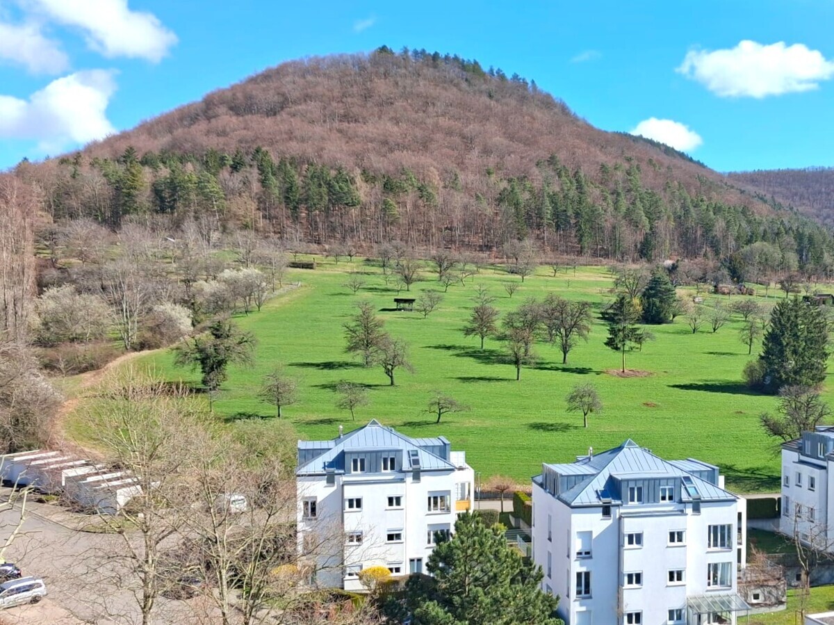 14517_WhatsApp-Image-2026-03-13-at-14.26.26-1