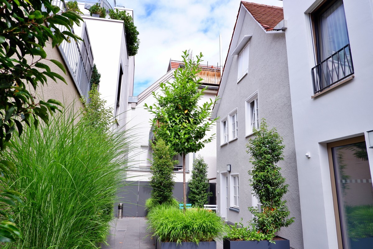 15495_Rueckansicht
