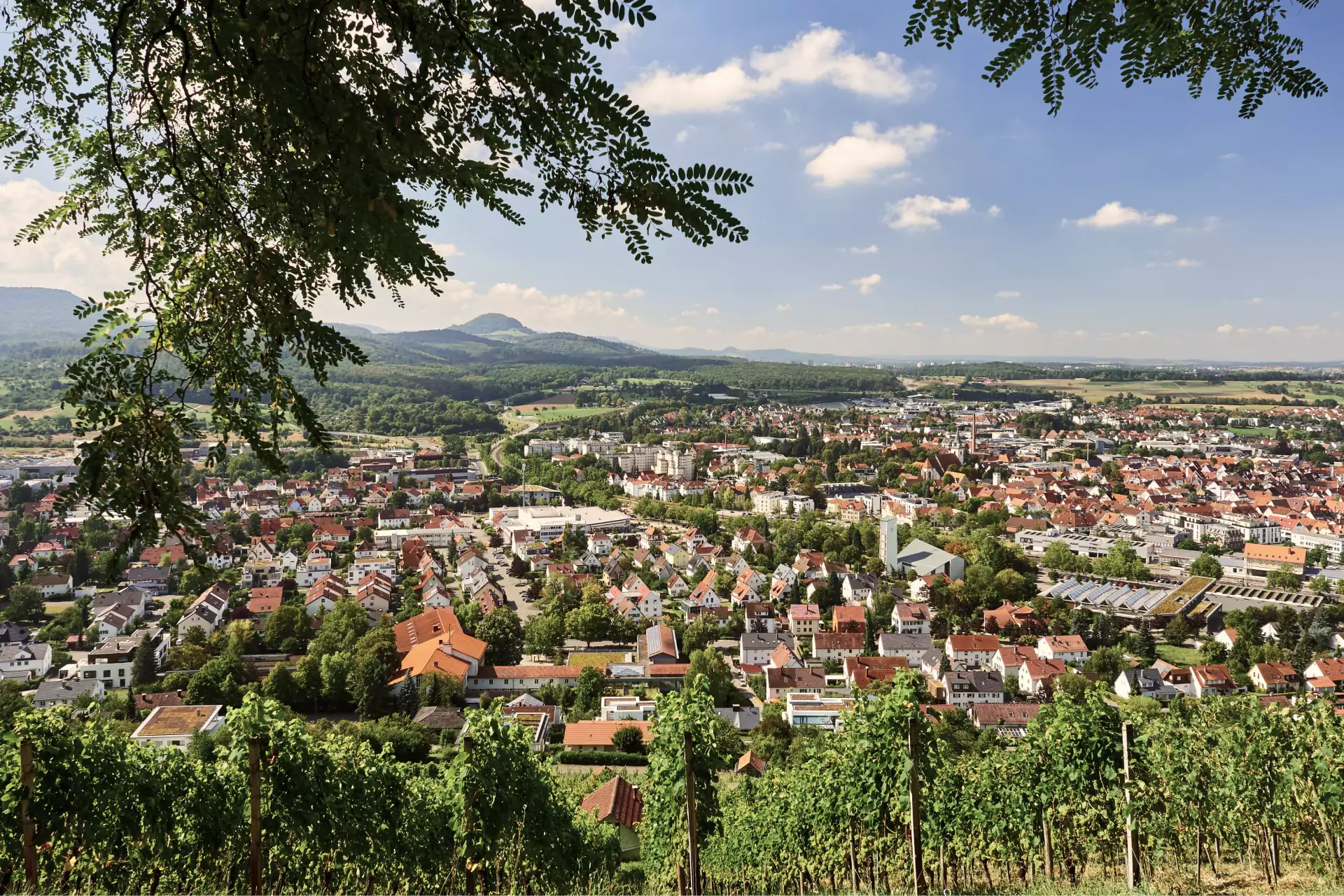 Blick über Metzingen