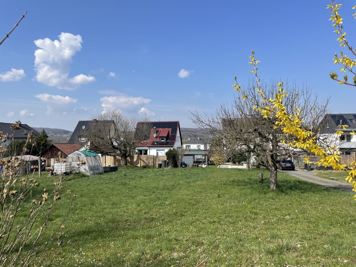 15579_image00005